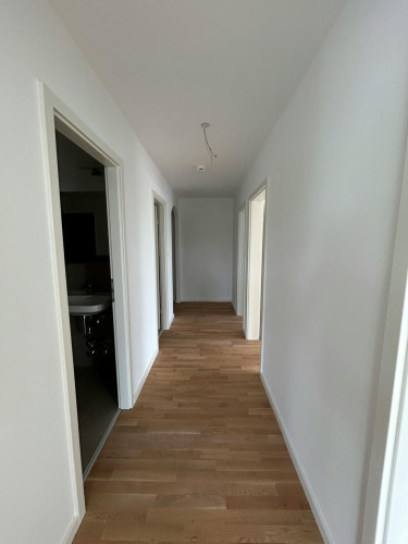 Dachauer Straße, Munich