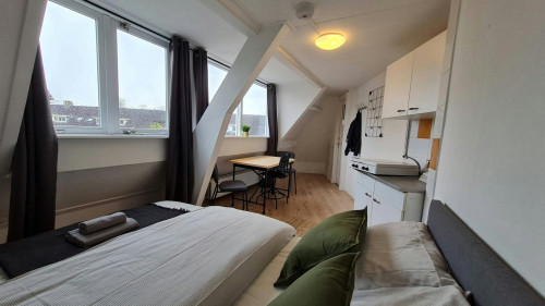 Rhijnvis Feithstraat, Utrecht