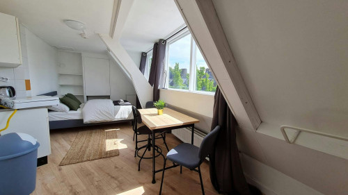 Rhijnvis Feithstraat, Utrecht - Gallery - 7