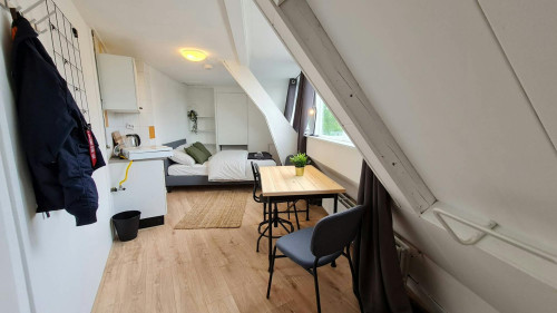 Rhijnvis Feithstraat, Utrecht - Gallery - 6