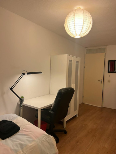 Lodewijk Pincoffsweg, Rotterdam