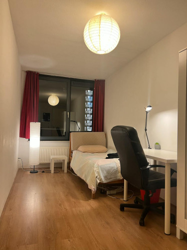 Lodewijk Pincoffsweg, Rotterdam