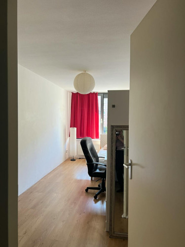 Lodewijk Pincoffsweg, Rotterdam
