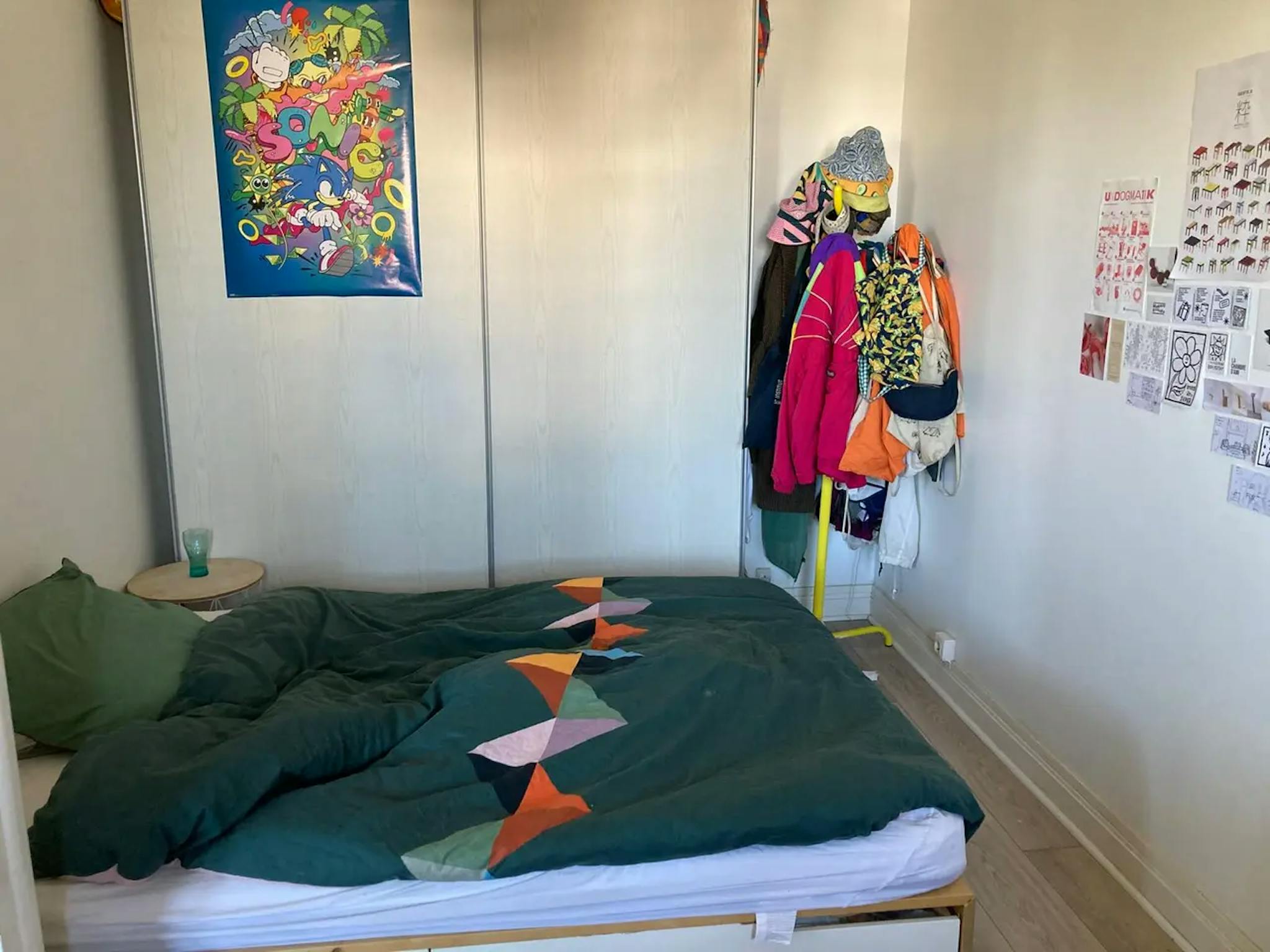  Private Room  -  Rue Professeur Joseph Nicolas, Lyon  - Gallery -  1