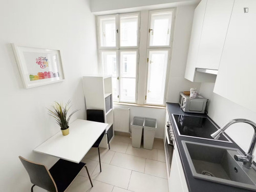 Cozy single bedroom near the Medical University of Vienna  - Gallery -  5