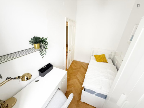 Cozy single bedroom near the Medical University of Vienna