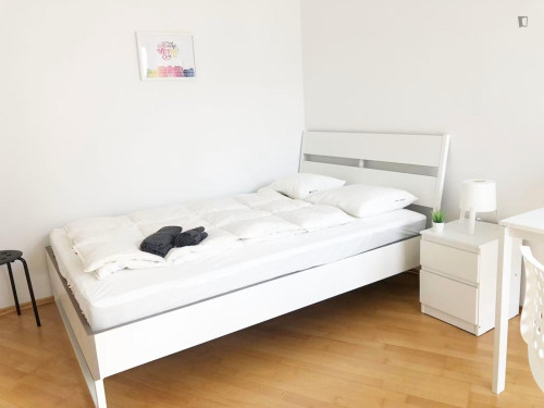 Neat and cosy double bedroom in Margareten