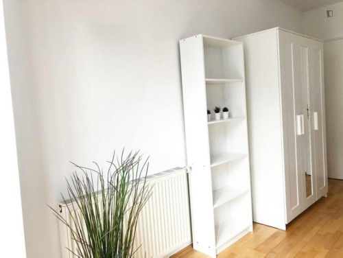 Neat and cosy double bedroom in Margareten