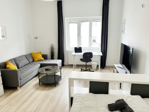 Pleasant single bedroom in Fünfhaus