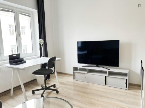 Pleasant single bedroom in Fünfhaus