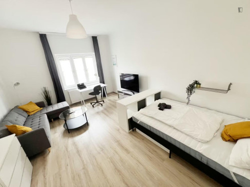 Pleasant single bedroom in Fünfhaus
