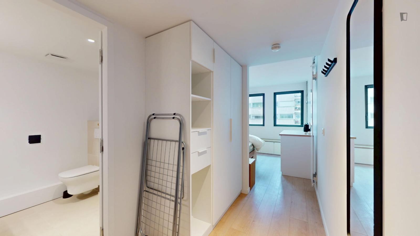 Luminous Single Ensuite Bedroom In 15th Arrondissement - Luminous single ensuite bedroom in 15th arrondissement - Gallery - 1