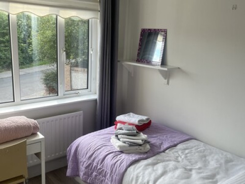 Lovely room in a family home 