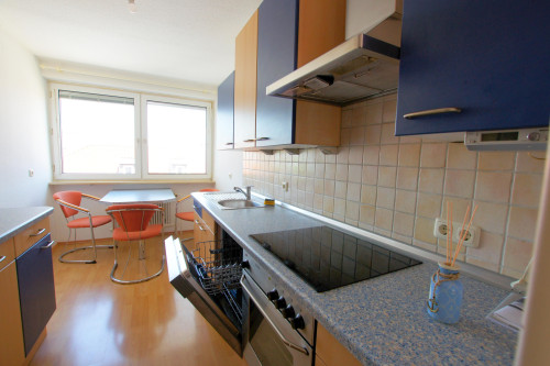 Bright apartment (Nuremberg) for sublet