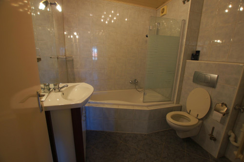 Bright apartment (Nuremberg) for sublet