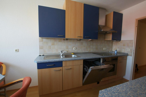 Bright apartment (Nuremberg) for sublet - Gallery - 5