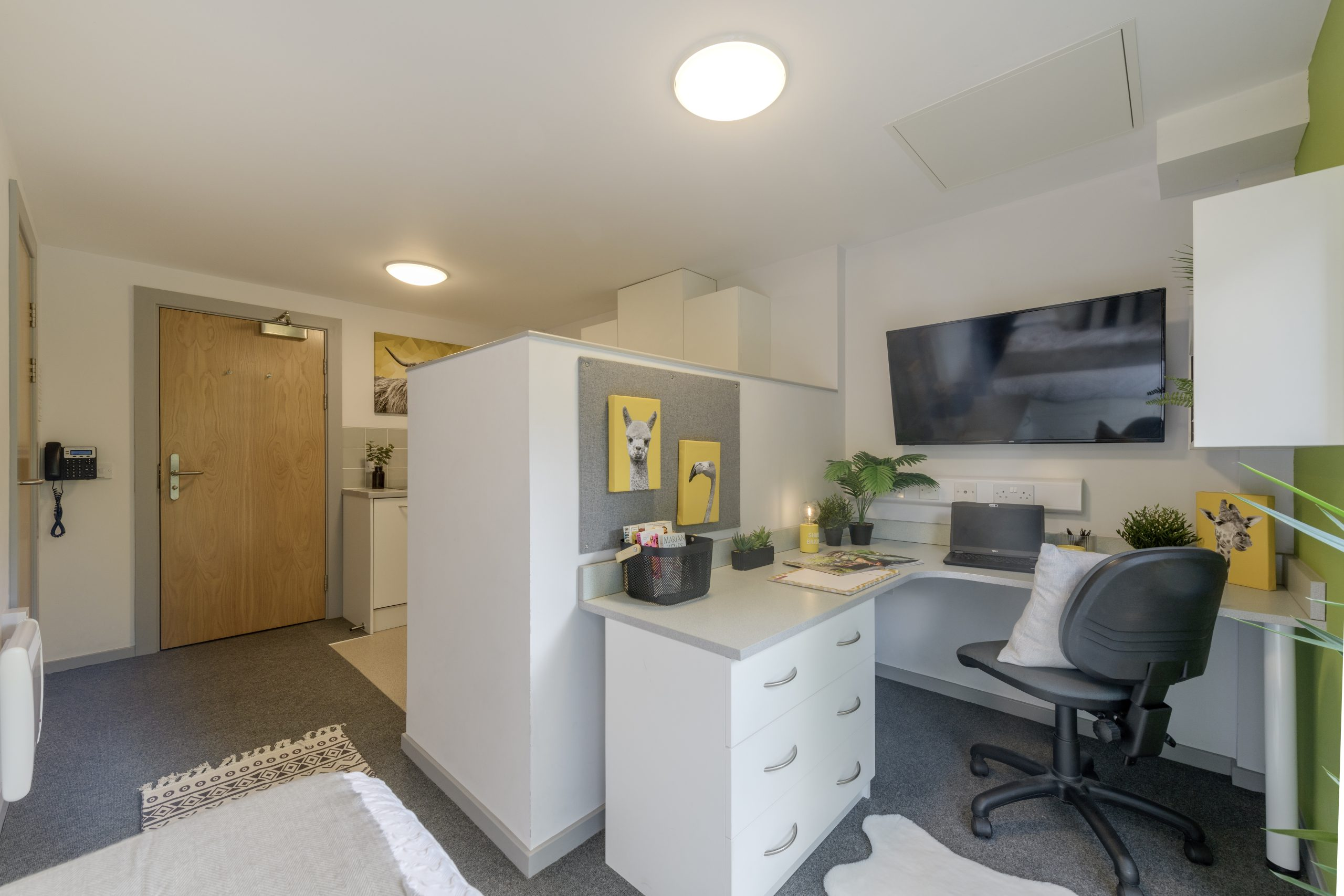  Standard Studio  -  Marshall Court – Portland Green Student Village  - Gallery -  2