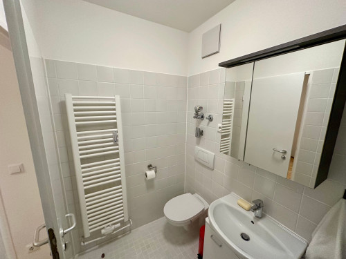 Quiet furnished terrace apartment, 5 minutes to the main line – new occupancy after partial renovation - Gallery - 7