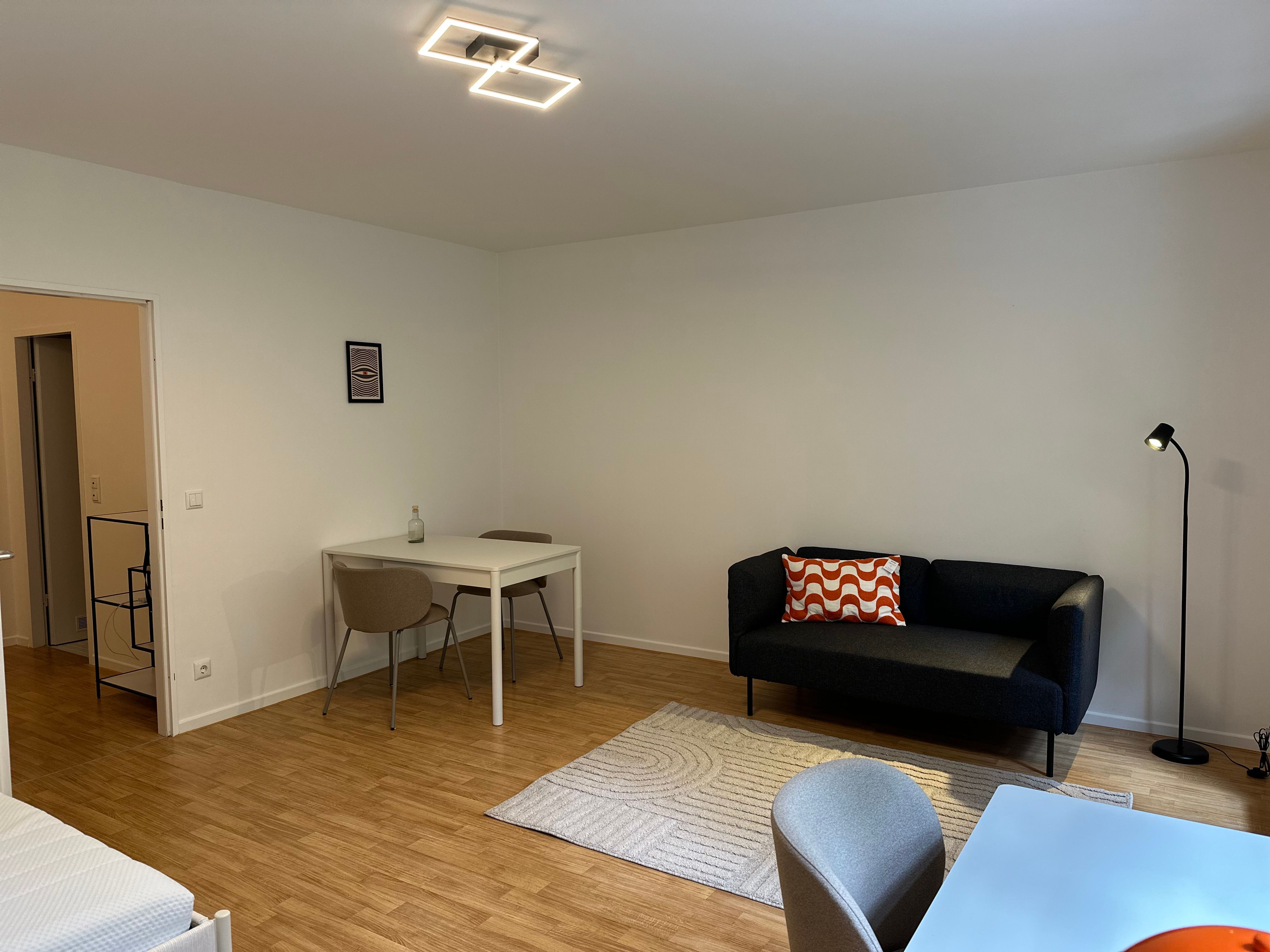 Quiet Furnished Terrace Apartment, 5 Minutes To The Main Line – New Occupancy After Partial Renovati - 22