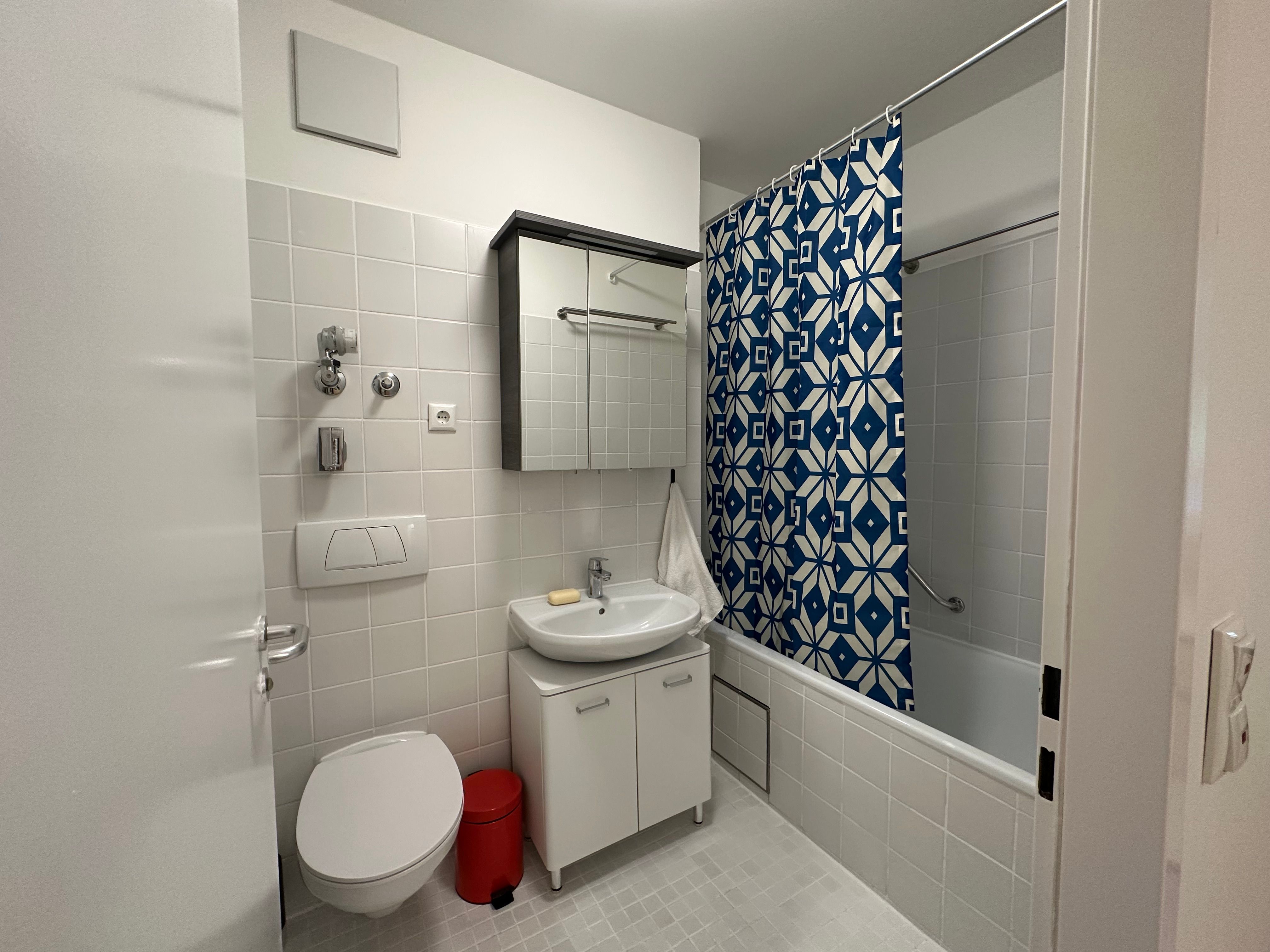 Quiet Furnished Terrace Apartment, 5 Minutes To The Main Line – New Occupancy After Partial Renovati - 7