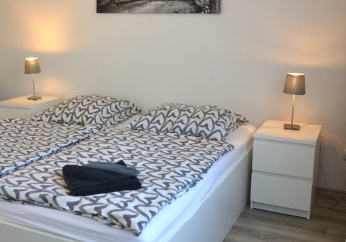 Modern 50 sqm apartment with balcony, WiFi & parking – near Rhine in Duisburg