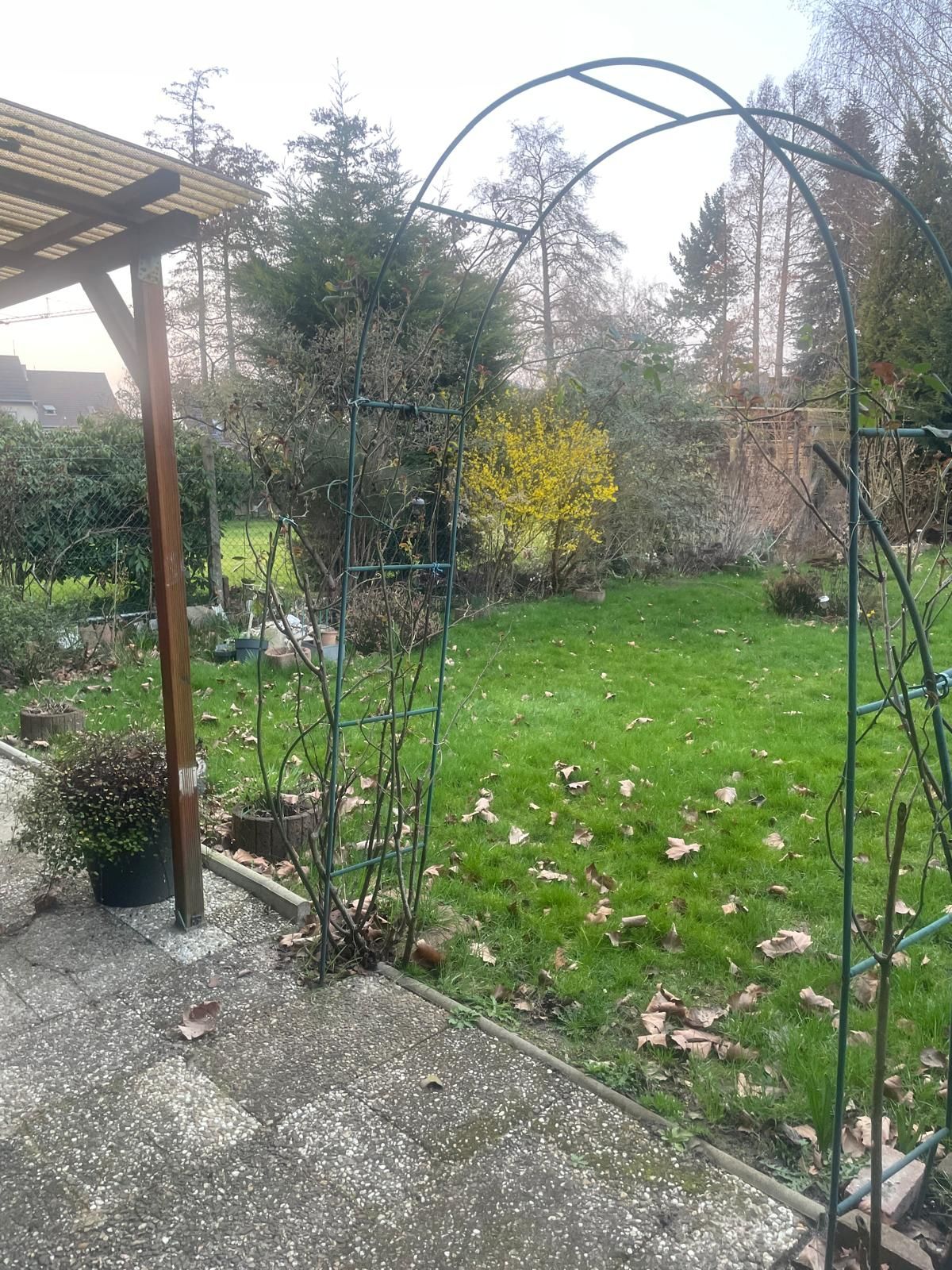  Spacious Apartment With Big Garden In Quite Street  -  Spacious Apartment with big garden in quite street  - Gallery -  3