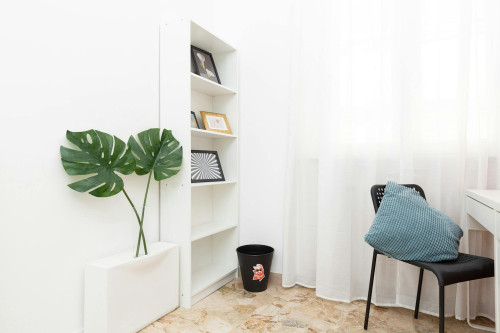 Corso d'Augusto, Rimini  - Gallery -  5