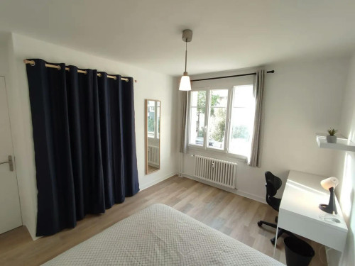 Cours Émile Zola, Villeurbanne