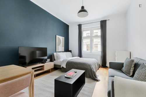 Welcoming studio in Roßau
