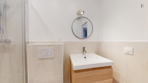 Big double ensuite bedroom in Villejuif  - Gallery -  5