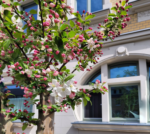 Living in the green neighbourhood near the hospital