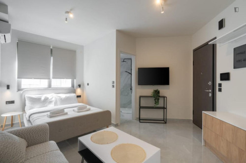 Comfortable Athens Studio - 3A  - Gallery -  5