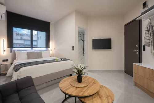 Comfortable Athens Studio - 2A
