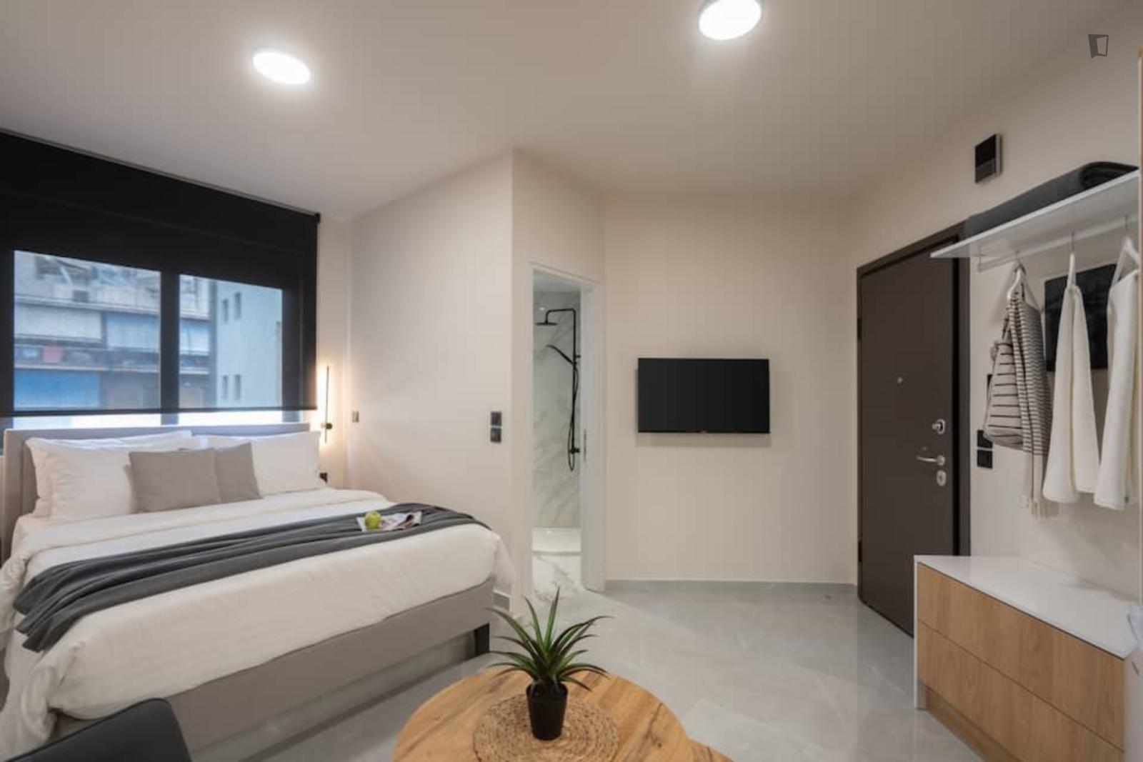  Comfortable Athens Studio - 2A  -  Comfortable Athens Studio - 2A  - Gallery -  1