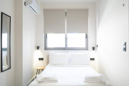 Comfortable Athens Studio - 1A
