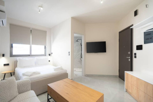 Comfortable Athens Studio - 1A