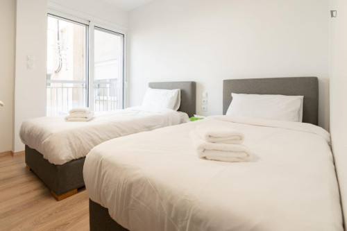 Luminous  Spacious Apartment in Pagrati