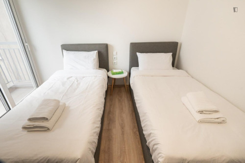 Luminous  Spacious Apartment in Pagrati