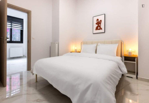 Modern Spacious Apartment in Gazi  - Gallery -  5