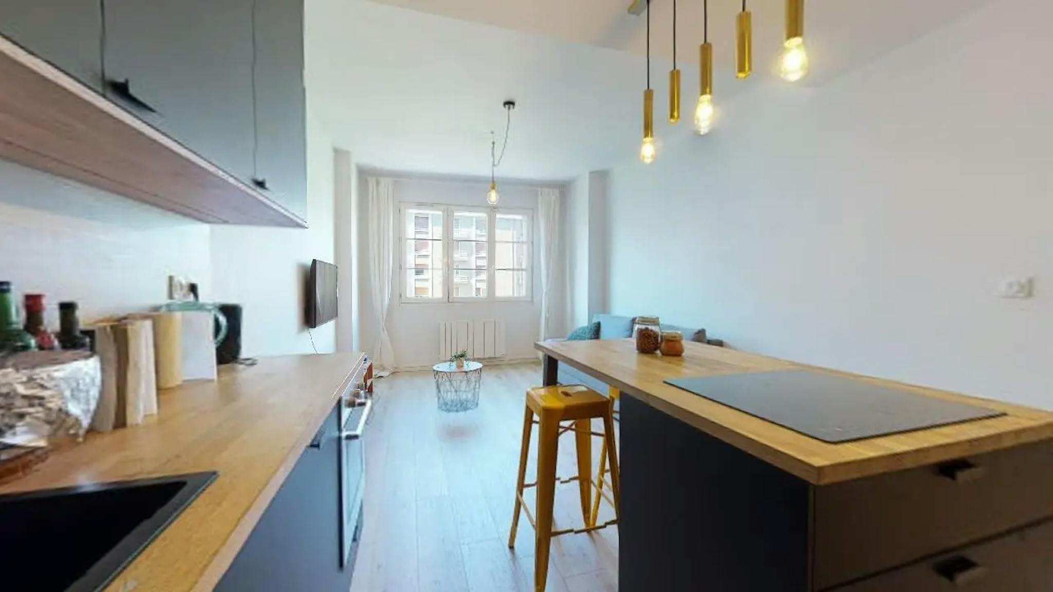  Private Room  -  Boulevard Maréchal Joffre, Grenoble  - Gallery -  1