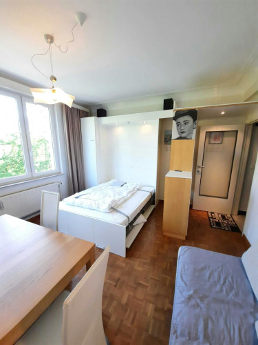 Avenue Jean-Baptiste Depaire, Brussels  - Gallery -  5