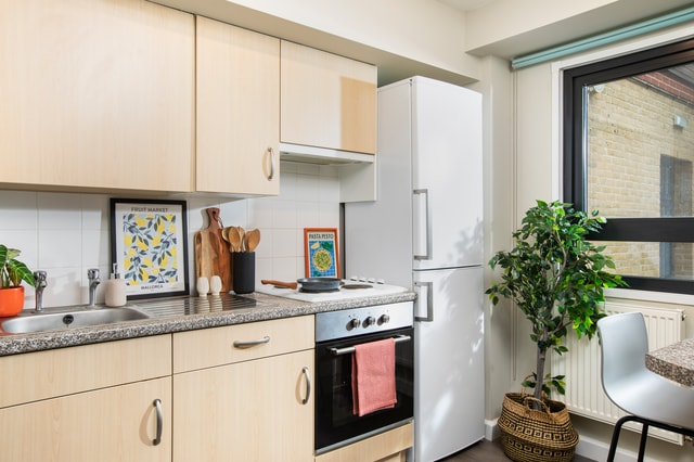  Extra Large High Double Studio  -  Pacific Court  - Gallery -  1