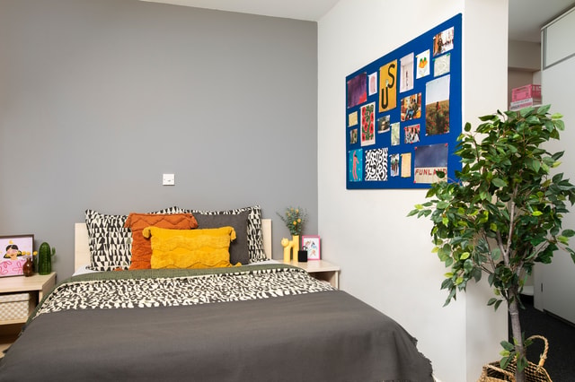  Single Wheelchair Accessible Studio  -  Pacific Court  - Gallery -  3