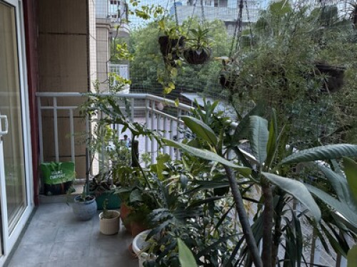 Maddie’s Homestay