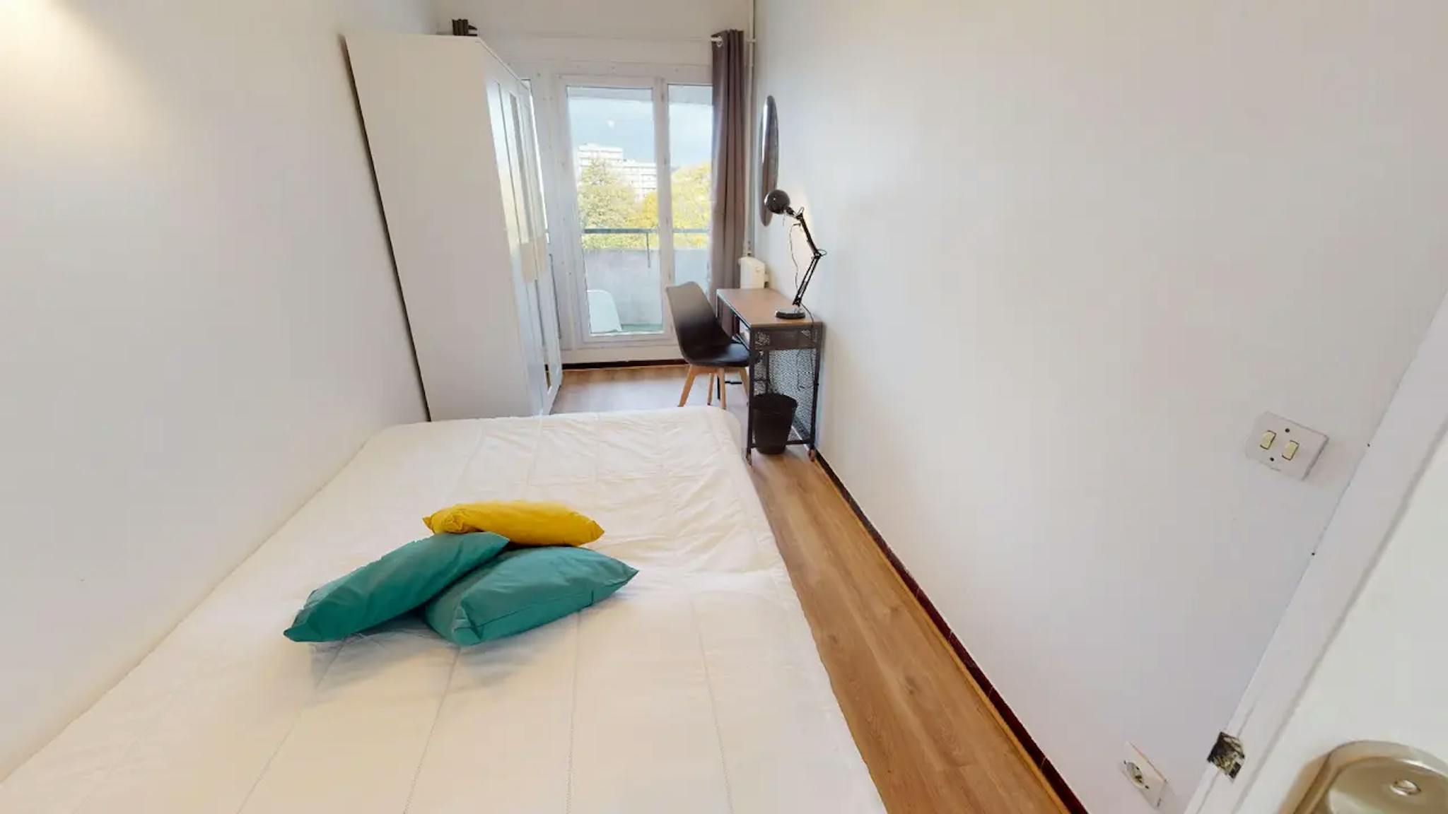  Private Room  -  Rue Professeur Patel, Lyon  - Gallery -  1
