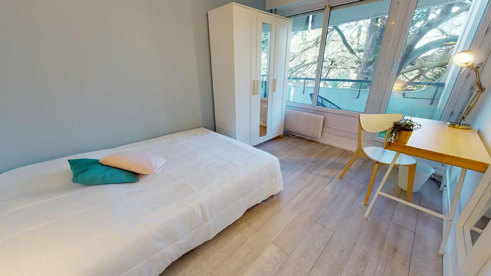  Private Room  -  Rue Professeur Patel, Lyon  - Gallery -  1