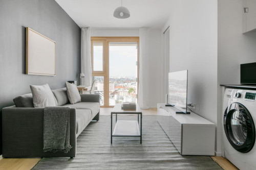 Cozy 1-bedroom flat near the Central European University - Gallery - 15