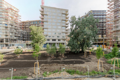 Welcoming 1-bedroom flat in Fasanviertel - Gallery - 2