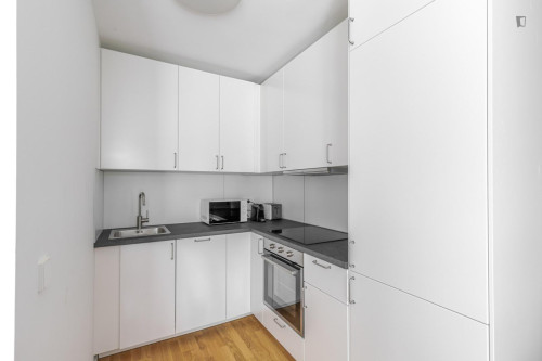 Welcoming 1-bedroom flat in Fasanviertel - Gallery - 7