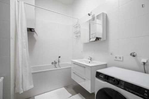 Charming 2-bedroom flat in Landstraße - Gallery - 7